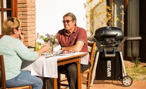 Преносимо Газово барбекю Napoleon TravelQ PRO285