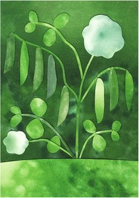 Постер 50x70 cm Peas in Bloom – Anna Ravn Bjørn – The Poster Club