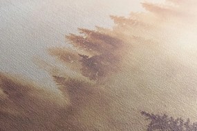 Картина на платно – Мъгла над гората