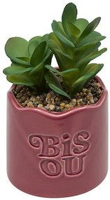 Изкуствено растение atmosphera Chéri, 17 cm, Различни видове