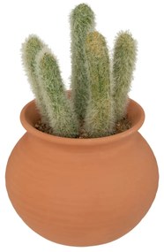 Изкуствено растение atmosphera Cactus Ali, 16.5 cm, Различни видове