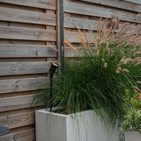 Пик прожектор черен регулируем IP44 с кабел и щепсел - Basic