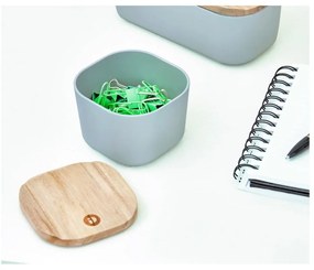 Сива кутия за съхранение с капак, изработена от дърво от пауловния , 9 x 9 cm Eco - iDesign