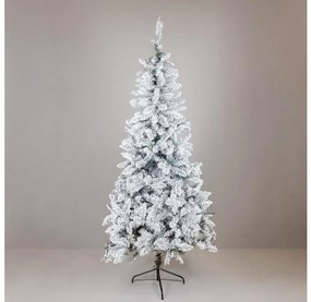 Коледна елха SCOTLAND 210 см, пихта