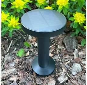 Zuma Line DT33611 - LED Соларна лампа CARLI LED/2W/2000 mAh IP44 черен