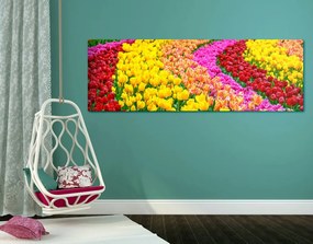 Картина на платно – Пъстроцветни лалета