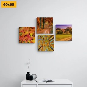 Комплект картини – Природа в есенни цветове