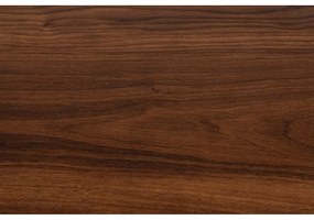 Кафява маса за телевизор от декор от орех 120x50x40 cm Stripes – White Label