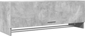 808237 vidaXL Гардероб, бетонно сиво, 100x32,5x35 см, инженерно дърво