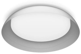 Philips - LED Димируем плафон FLETA LED/10W/230V 4000K прозрачен