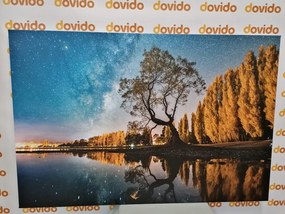 Картина на платно – Дърво под звездното небе