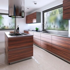 Стикер за прозорец 200x40 cm Dandelions - Ambiance