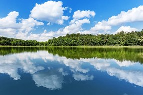 Картина на платно – Природа през лятото