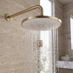 Кръгла душ глава REA JS-021 Gold Brush