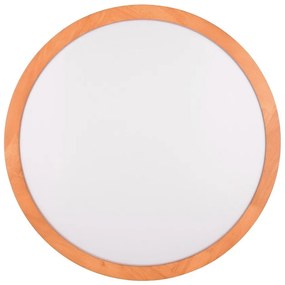 Светлокафяво LED осветление за таван ø 40 cm Iseo - Trio