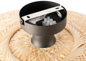 Ориенталски таванен аплик бамбук 50 см - Ostrava