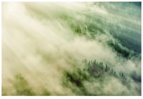 Самозалепващ фототапет – Мъглива гора