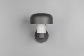 Стенно външно осветително тяло (височина 24,5 cm) Fraser – Trio