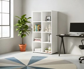 Библиотека Organizer II-Leuko