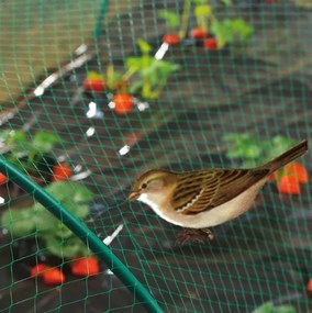 Мрежа за защита от птици Birdnet - Екструдирана 4 х 250 метра