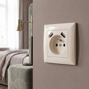 Единичен контакт със заземяване + USB-A USB-C OSTE JNH004-G Beige