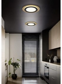 LED осветително тяло за таван с възможност за димиране в черно и златисто ø 45 cm Morgan - Trio