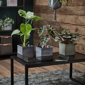 Лилава керамична саксия Latina, 15 x 15 cm - Big pots