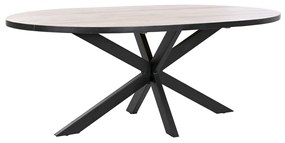 Трапезна маса DKD Home Decor Черен Естествен Метал Дърво манго 200 x 100 x 76 cm