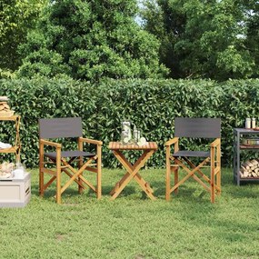 4008513 vidaXL Сгъваеми режисьорски столове, 2 бр, сиви, масивно тиково дърво