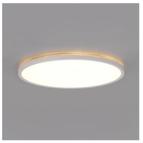 LED баня таванно осветително тяло NIVERA LED/12W/230V IP54 пр. 22,5 см бяло