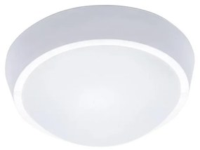 LED Екстериорна Стенна лампа 1xLED/30W/230V  IP65