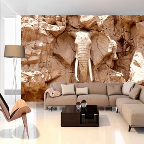 тапет - Stone Elephant (Южна Африка) 400x280