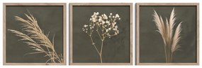 Картини в комплект 3 бр. 30x30 cm Pampas – Styler