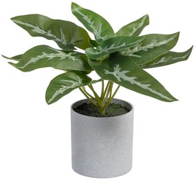 Изкуствено растение (височина 21 cm) Syngonium – Ixia