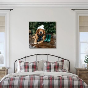 Картина на платно – Куче със зимна шапка