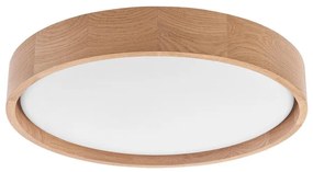 Brilagi - LED таванно осветление MANAROLA SIMPLE LED/24W/230V 3000K