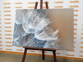 Картина на платно – Макро глухарче на фон