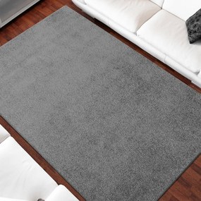 Сив килим Ширина: 200 см | Дължина: 300 см