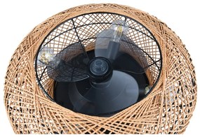 Кафяво осветително тяло за таван с дистанционно управление/с вентилатор Lillesand – Trio