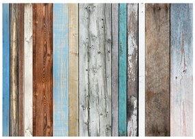 Тапети - аранжирани цветове 350x245
