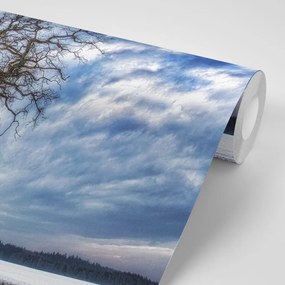 Фототапет – Дървета през зимата