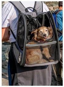 Чанта за транспортиране на домашни любимци 27x33 cm – Love Story