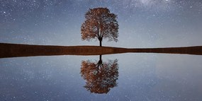 Картина на платно – Звездно небе над самотно дърво
