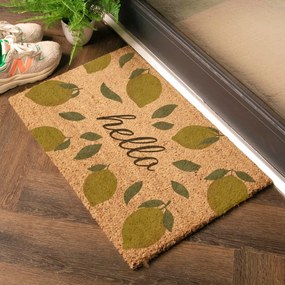 Изтривалка от кокосови влакна 40x60 cm Hello Lemons – Artsy Doormats