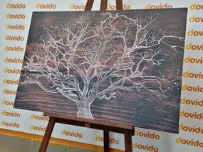 Картина на платно – Корона на дърво на дървена основа