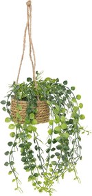 Изкуствено растение atmosphera Patri Hanging, 50 cm, Различни видове