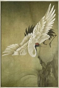 Рисуване Japonensis Crane