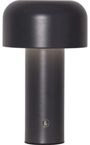 Сива LED настолна лампа (височина 21,5 cm) Bobby – Star Trading