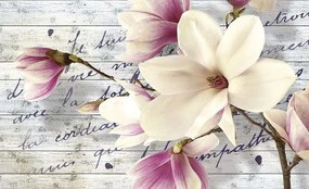 MAGNOLIA  - C0476