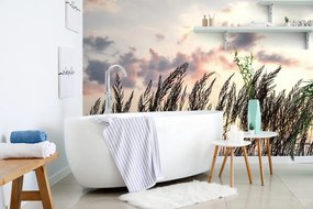 Самозалепващ фототапет – Трева при залез